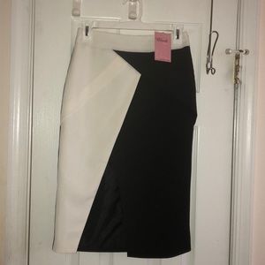 Blush Boutique black and white pencil skirt